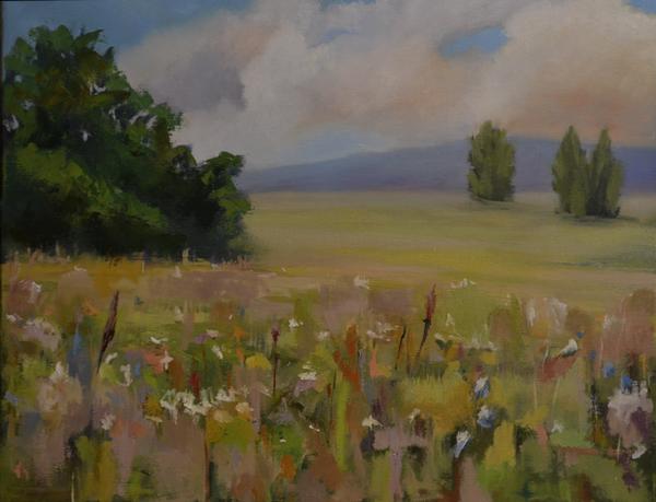 Field of Spring